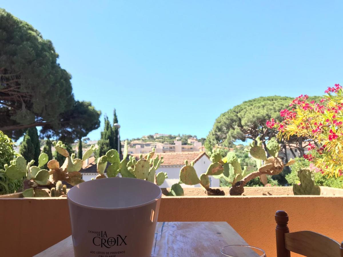 Cosy Deux Pieces Pour 4 Personnes En Centre Ville Classe Cavalaire-sur-Mer Dış mekan fotoğraf